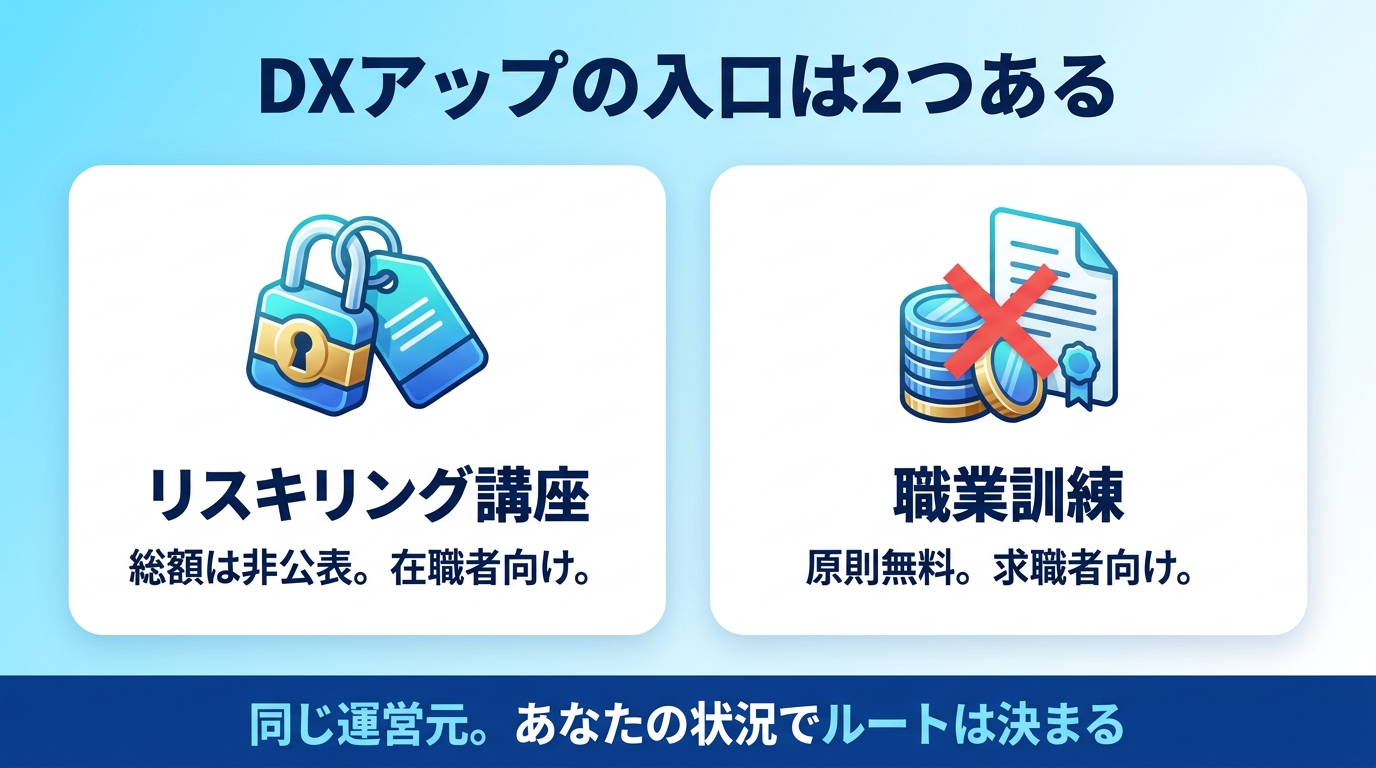DXアップの運営会社と2つのコースの入口を示す図